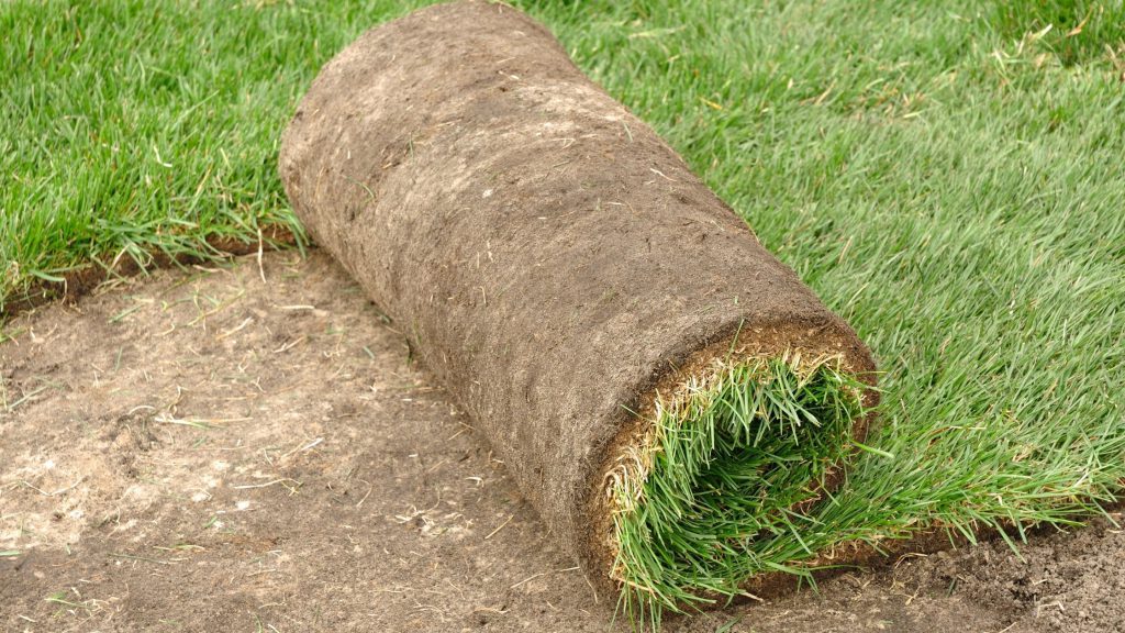 When Is The Best Time To Lay Sod In Central Texas?