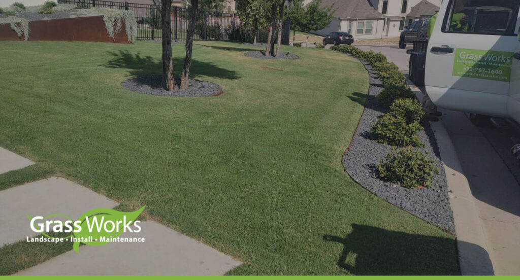 How To Thicken St. Augustine Grass