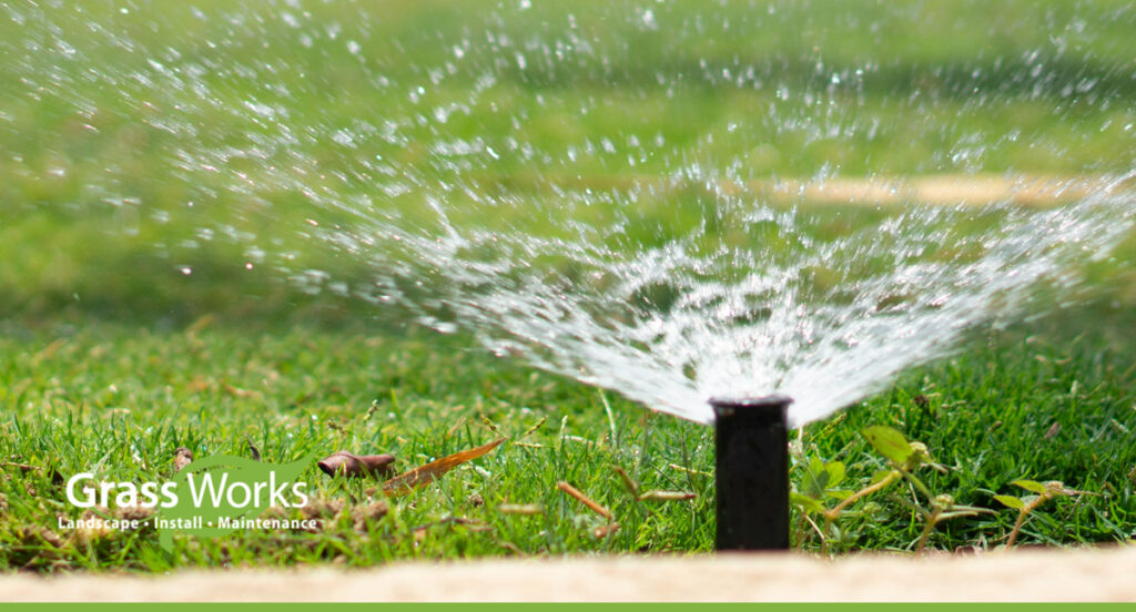 Irrigation System Audits for Texas Homeowners